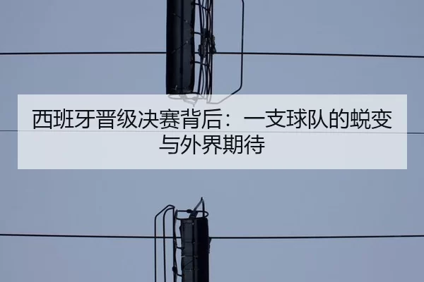 西班牙晋级决赛背后：一支球队的蜕变与外界期待